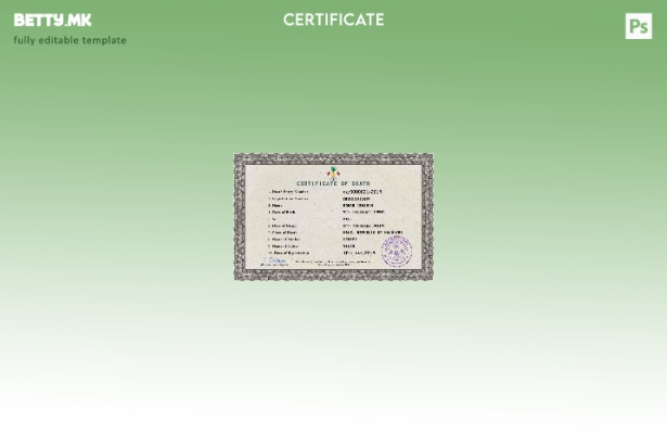 Модерен стил на Малдивите, шаблон за шаблон за PSD сертификат за смртен рекорд о